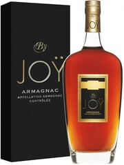Joy Vintage, Armagnac AOC, 1993, gift box, 0.7 L