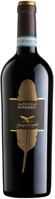 На фото изображение Campagnola, Ripasso, Valpolicella Classico Superiore DOC, 2016, 0.75 L (Кампаньола, Рипассо, Вальполичелла Классико Супериоре, 2016 объемом 0.75 литра)
