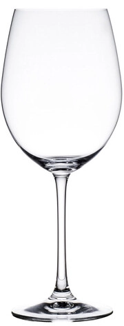 ViVino Champagne Glass Set of 4