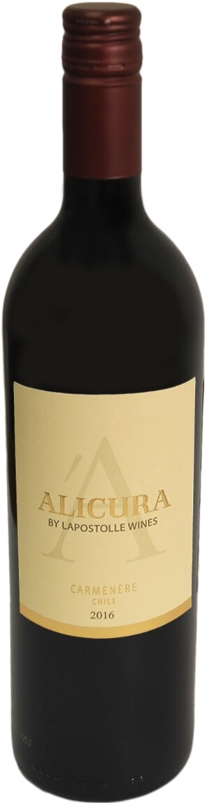 Сира 15. Аликура Карменер. Аликура Карменер резерва. Вино Alicura Carmenere. Вино Винпараисо Карменер.