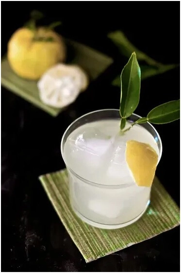 MITOSAYA 柑橘Citrus Cuvée 2021 Eau-De-Vie Citrus Fruit – mitosaya botanical distillery