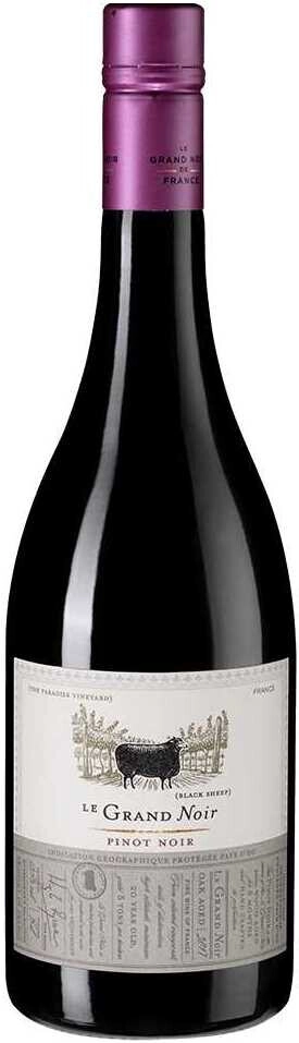 Wine Pinot Noir, Pays d'Oc IGP, 2022, 750 ml Pinot Noir, Pays d'Oc
