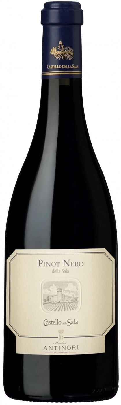 Вино castello del nero. Pinot Nero вино. Пино Нуар Антинори. Castello del Nero вино. Pinot Nero Cormons.