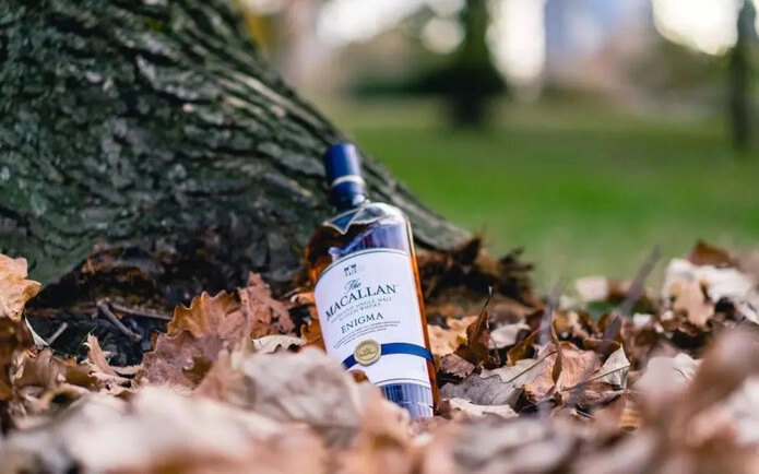 Виски Macallan, «Enigma» Highlands Single Malt, в подарочной