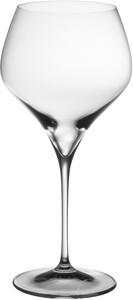 Riedel, Vitis Montrachet, set of 2 glasses, 690 мл