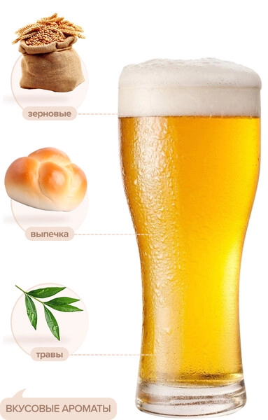 Пиво «Asahi» Super Dry, 0.33 л — купить пиво «Асахи» Супер Драй